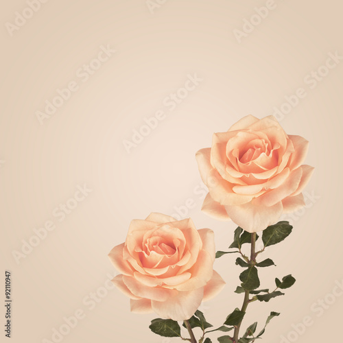 Vintage background with roses flowers. Retro backdrop