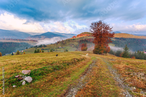 Morning in colorful autumn landscape in Romania