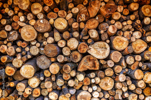 Dry chopped firewood logs