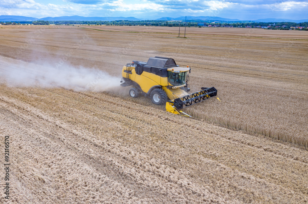 Obraz premium Combine working on the wheat field