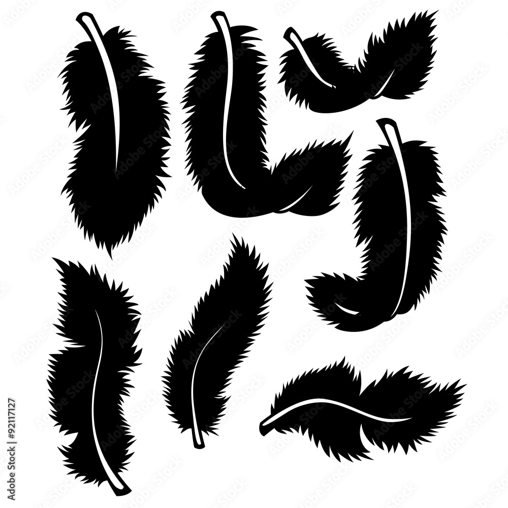 Black feathers set Black feathers set