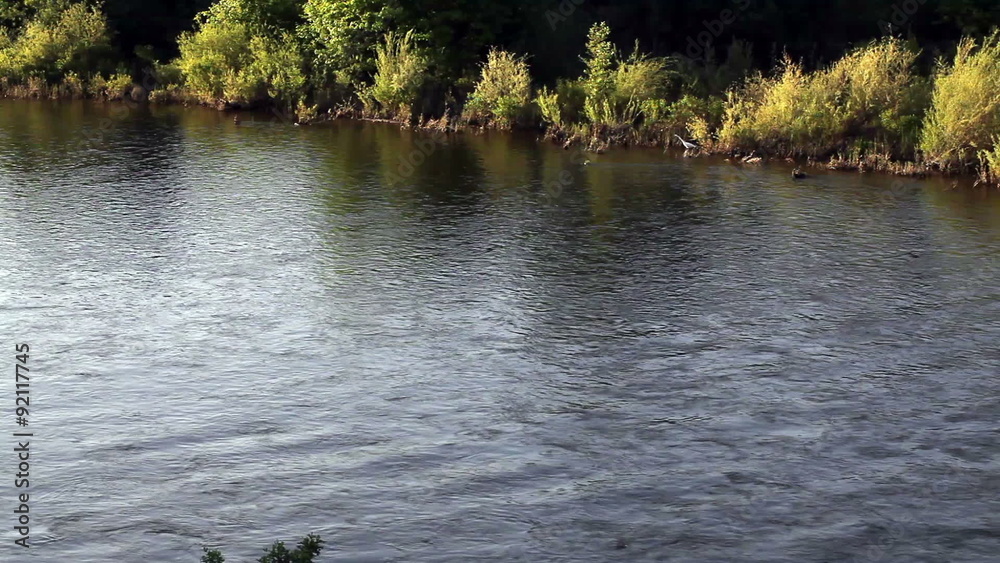 River Water Moving With Green River Bank
River Water Moving With Green River Bank