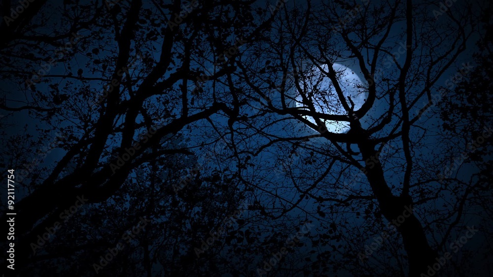 Moving Through Scary Woods Looking Up At Full Moon Moving Through Scary Woods Looking Up At Full Moon