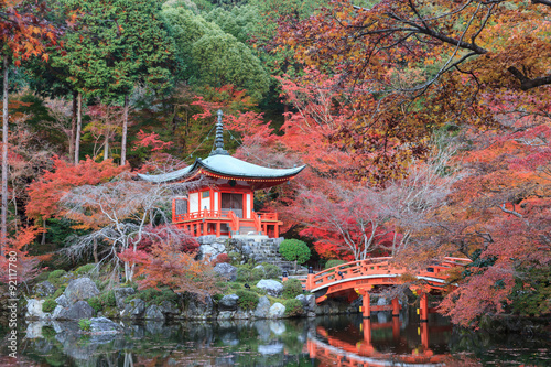 The leave change color of red in Daigoji Temple japan.