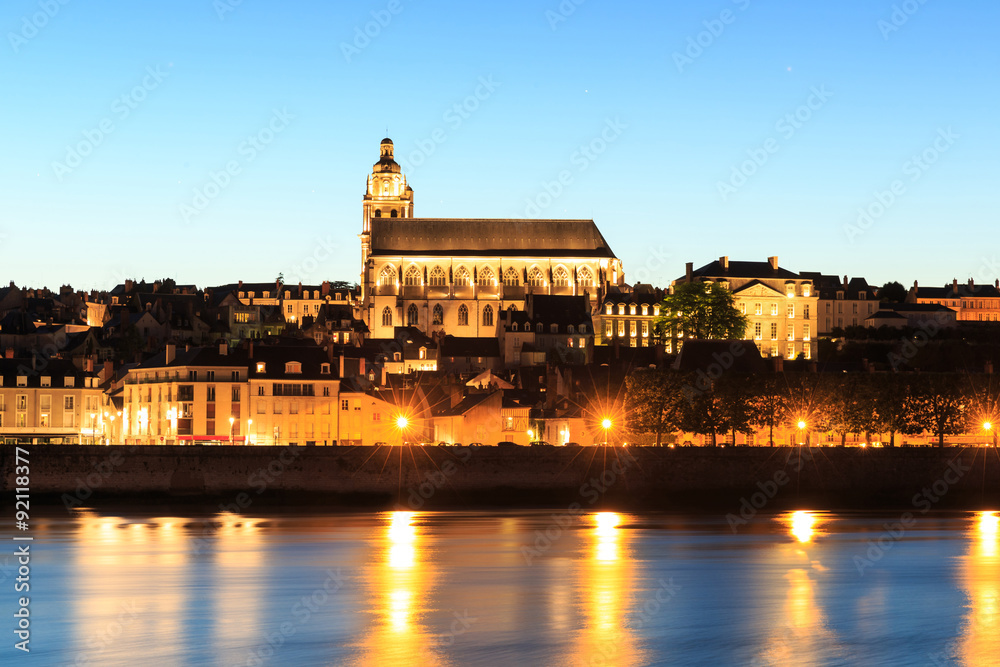 Blois city with the Cathedral of Saint-Louis in background from