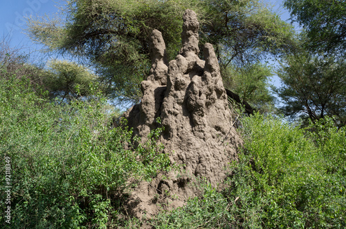 Termite mound in Serengeti National Park, Tanzania, Africa