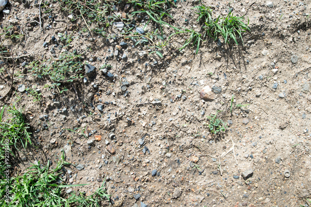 Ground, rocks, grass background Ground, rocks, grass background