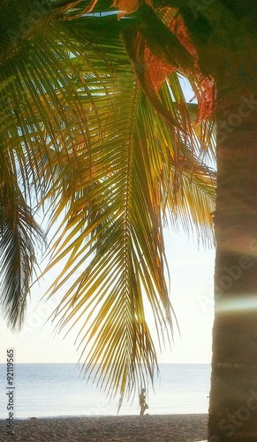 Closeup colorful image of palm tree with tourist walking on ocean beach in background photo