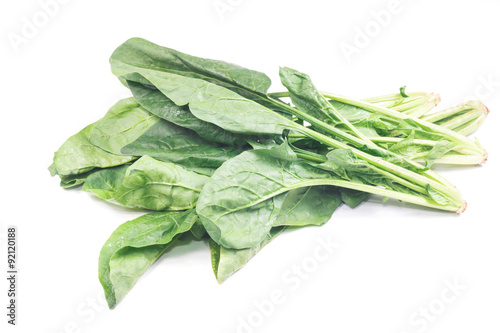 Fresh leaves of spinach isolate on white
