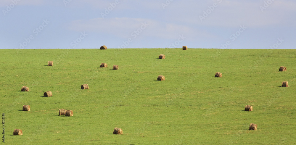 Beautiful green field with haystacks. Beautiful green field with haystacks.