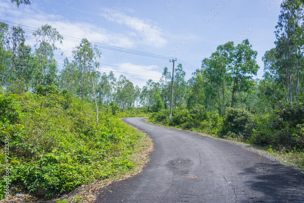 Fototapeta premium Road up the mountains