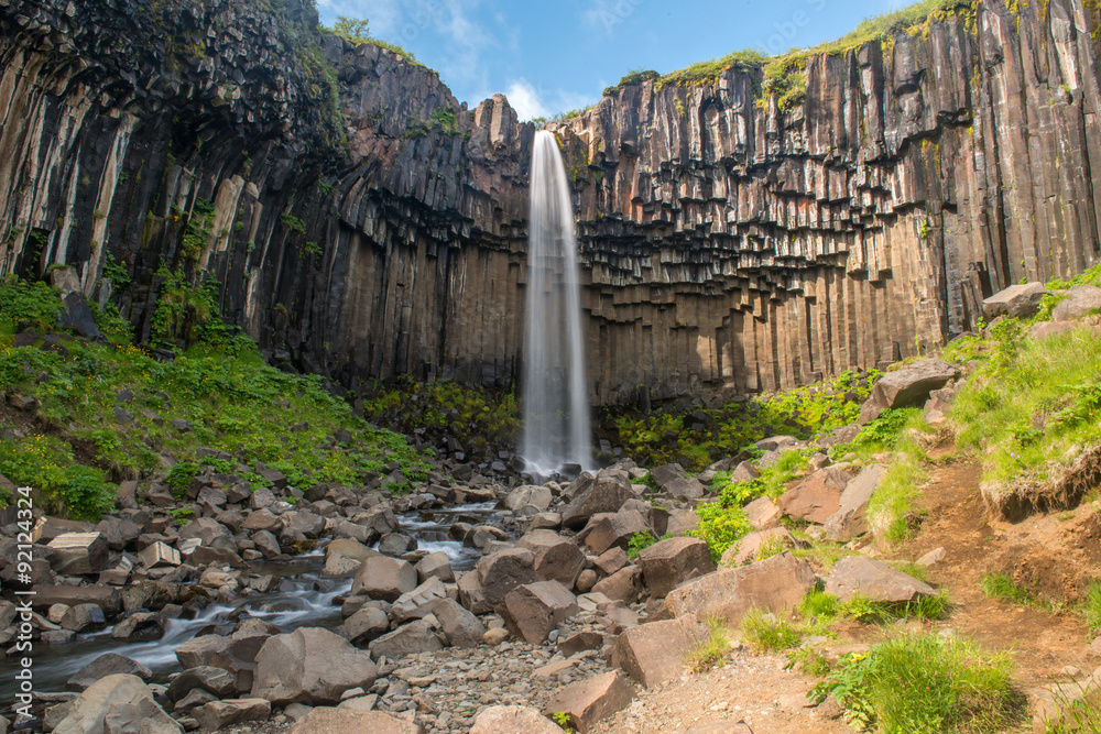 Fototapeta premium Svartifoss Waterfall, Skaftafell national park, Iceland