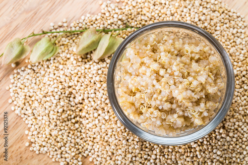 Quinoa seed photo