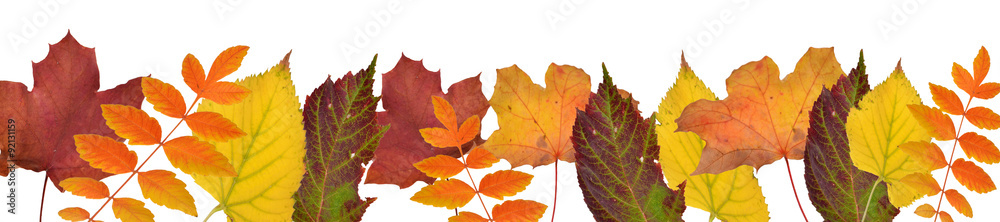 fallende Blätter, goldener Herbst fallende Blätter, goldener Herbst