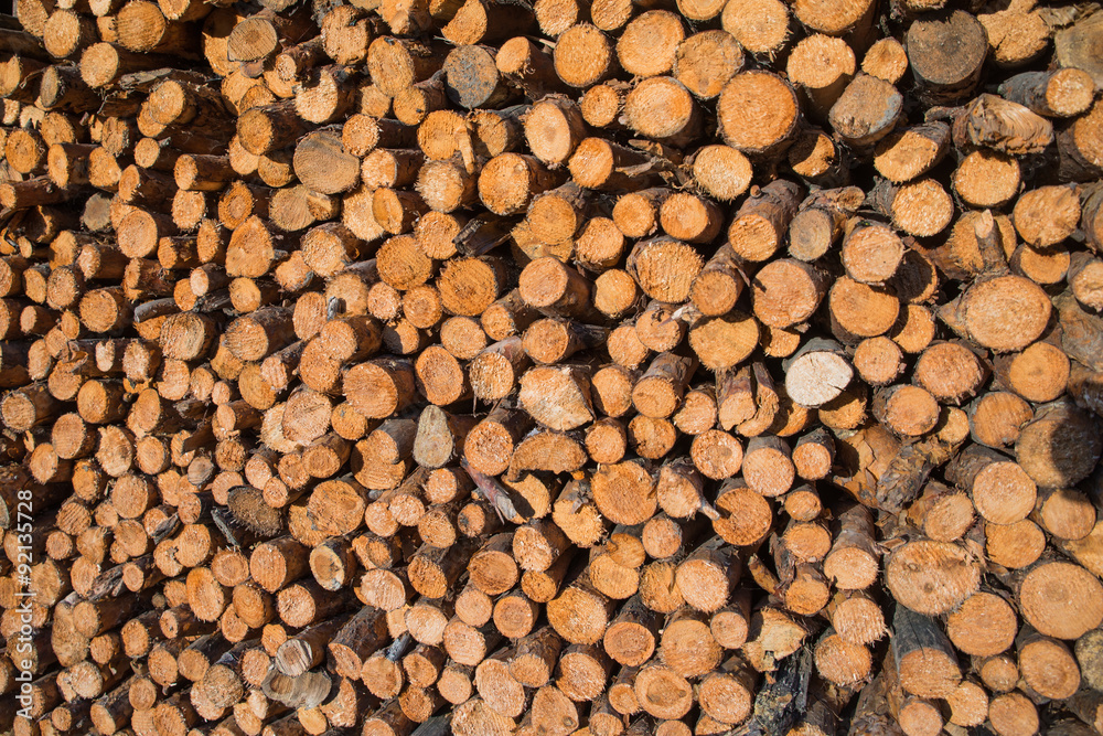 pile of wooden logs