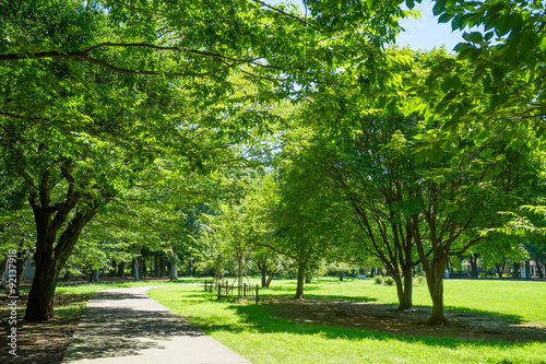 Summer Kinuta Park