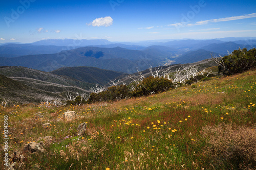 View from Mt Feathertop  2nd highest peak in Victorian Alps  Australia