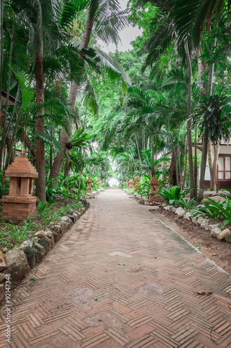 tropical garden and the road to sea beach