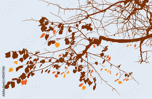 branch of autumn tree
