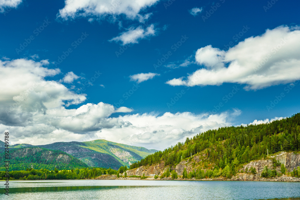 Beautiful Norwegian Nature Fjord. Summer Landscape With Mountain