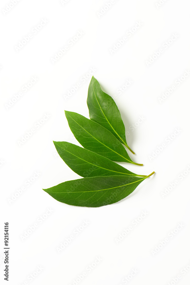 Naklejka premium Fresh bay leaves