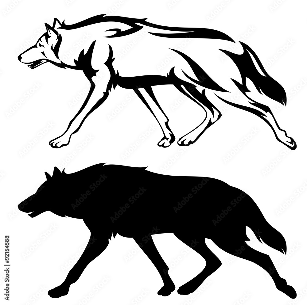 Fototapeta premium running wolf