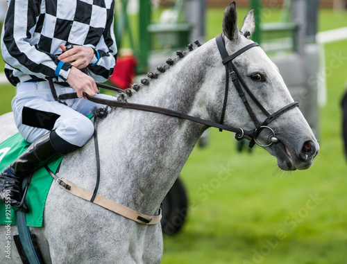 close up of jockey on grey race horse