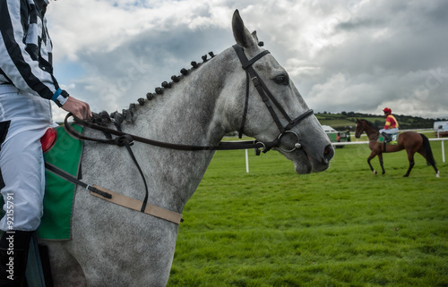grey race horse and jockey on race track