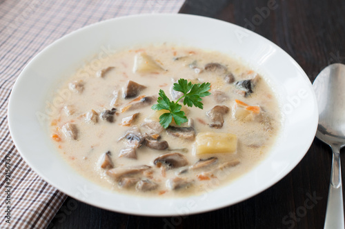 plate of vegetarian mushroom soup