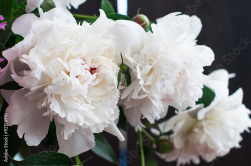 Wallpaper Mural Stunning white peonies on rustic wooden background Torontodigital.ca