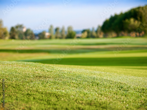 Golf fairway morning mist from ground view