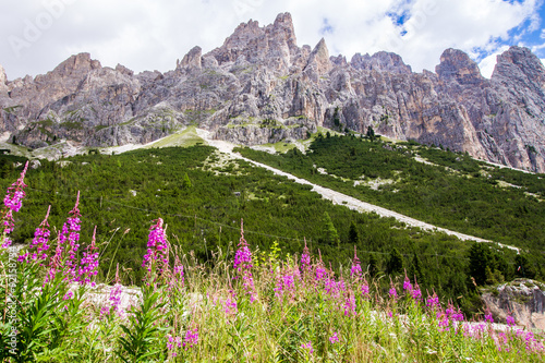 View of the Rosengarten group in the Dolomites, Italy