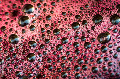 Photos Red wine from good grapes is fermented