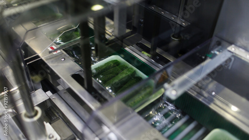 Packaging machine for cucumber in factory