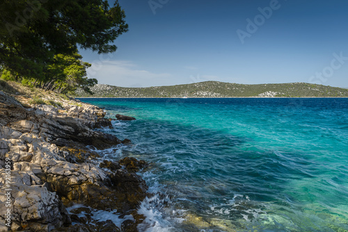 Amazing beach with crystal clear sea water and pines trees in Croatia.