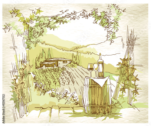 Hand made sketch grape fields and vineyards.