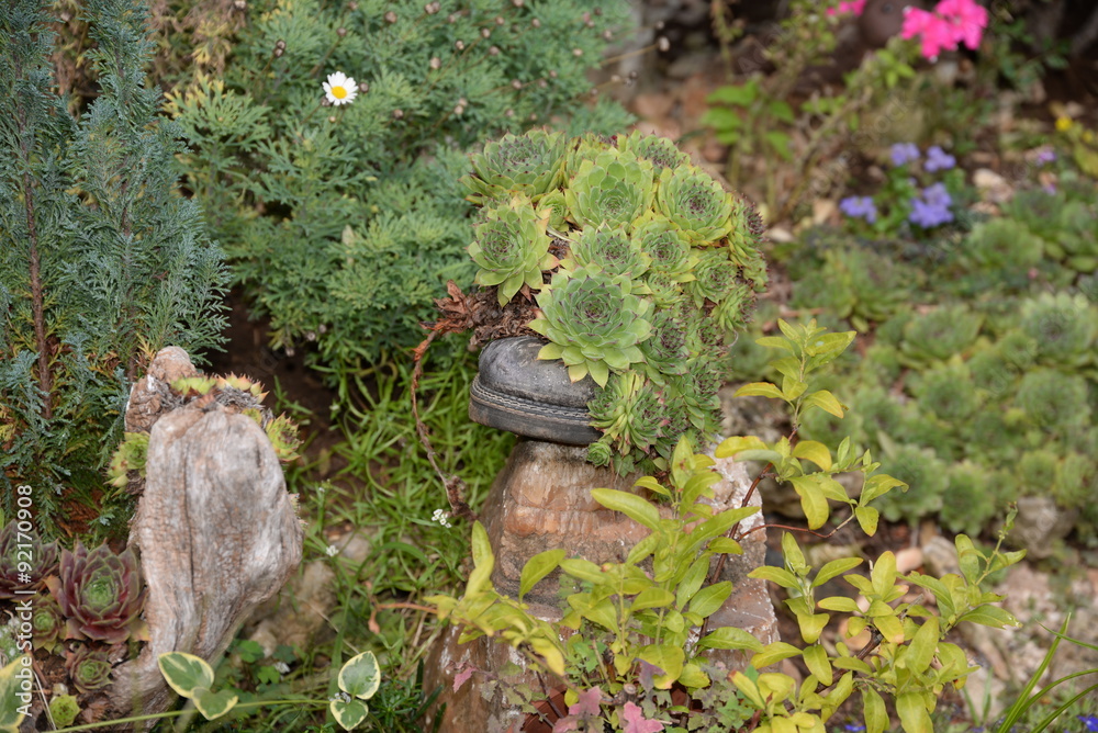 Fototapeta premium Garten
