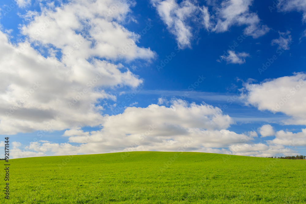 Green field and blue sky in Aberdeenshire, Scotland, UK