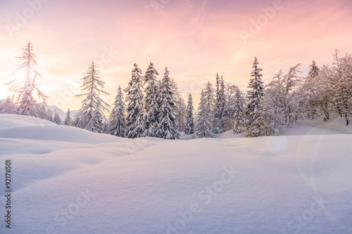 Winter landscape near Vogel ski center © Kavita