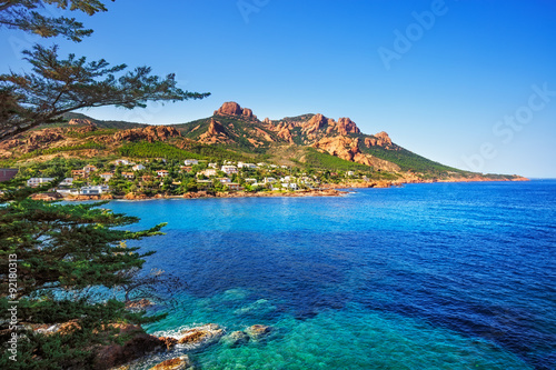 Esterel rocks beach coast, tree and sea. Cannes Saint Raphael Co