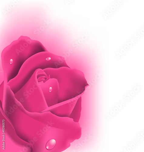 Celebration card with pink rose, copy space for your text