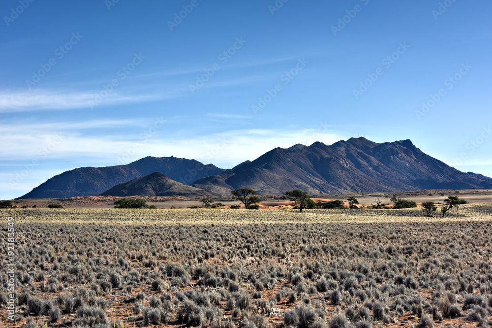 Desert Landscape - NamibRand, Namibia