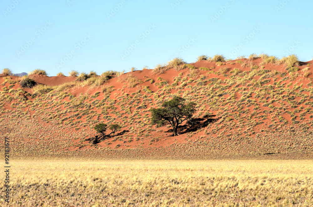 Obraz premium Desert Landscape - NamibRand, Namibia