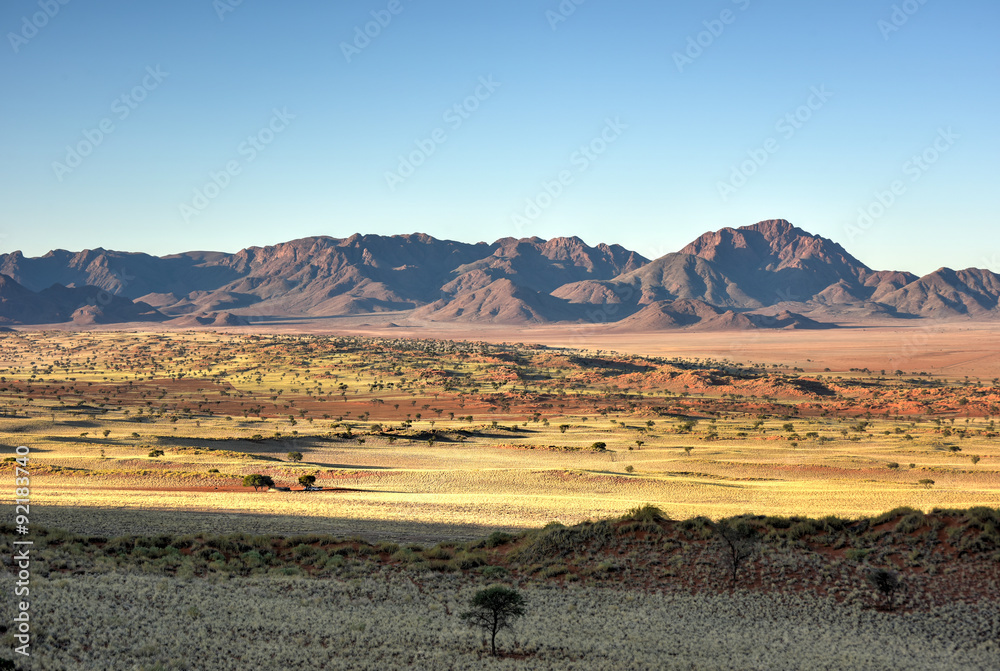 Desert Landscape - NamibRand, Namibia Desert Landscape - NamibRand, Namibia
