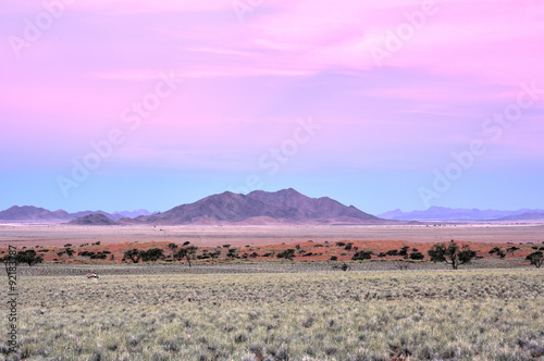Fototapeta Desert Landscape - NamibRand, Namibia