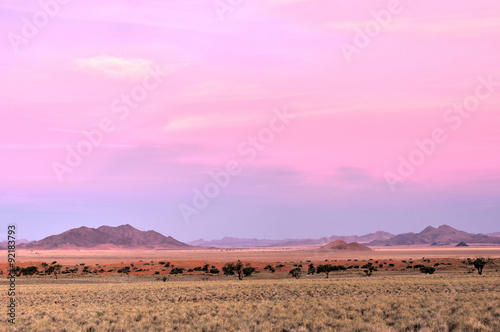 Desert Landscape - NamibRand, Namibia