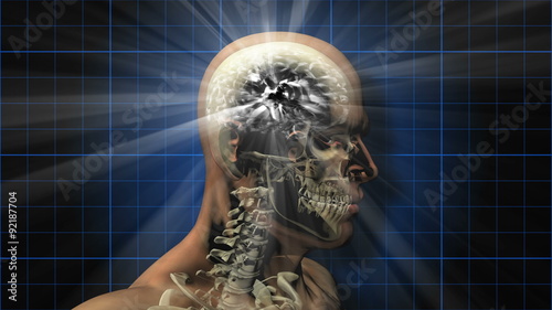 Brainstorm 103: A rotating human skull and brain electrically charged with thought (Video Loop).