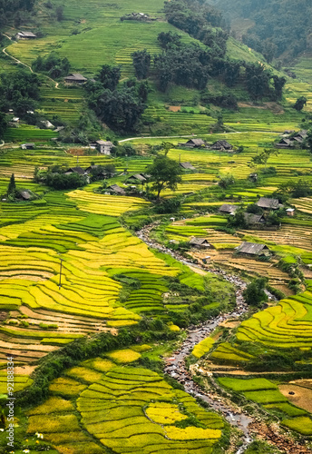 Fototapeta Naklejka Na Ścianę i Meble -  Rice fields on terraced of Mu Cang Chai, YenBai, Vietnam. Rice fields prepare the harvest at Northwest Vietnam.