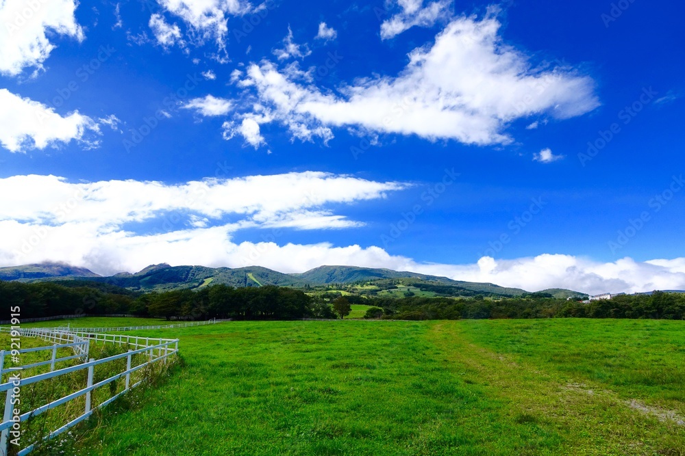 那須高原の牧場と青空