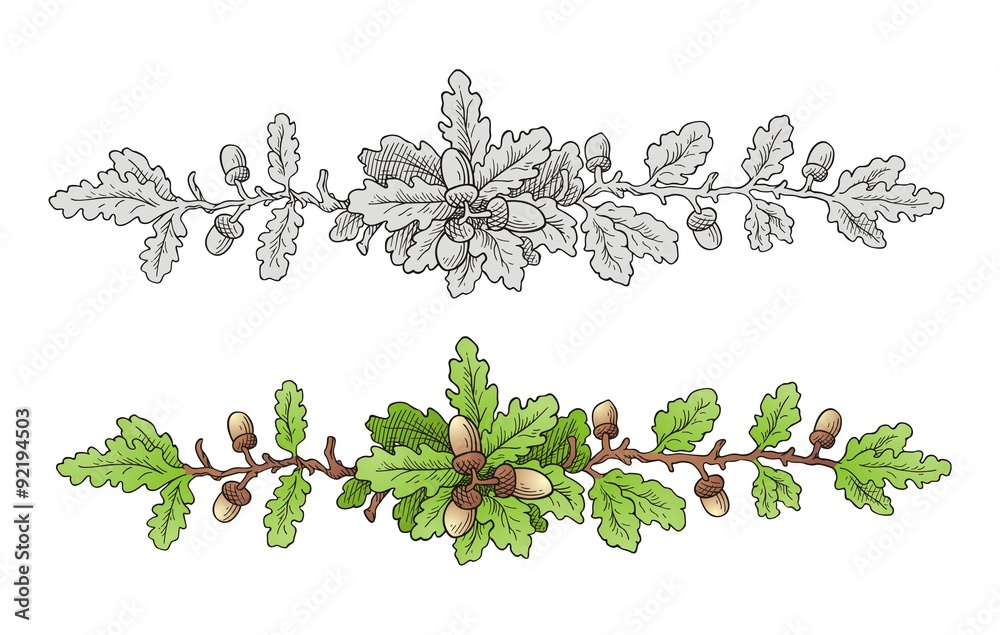 Oak Leaves Branch vector Oak Leaves Branch vector